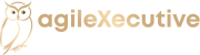 Agilexecutive Logo Back to homepage